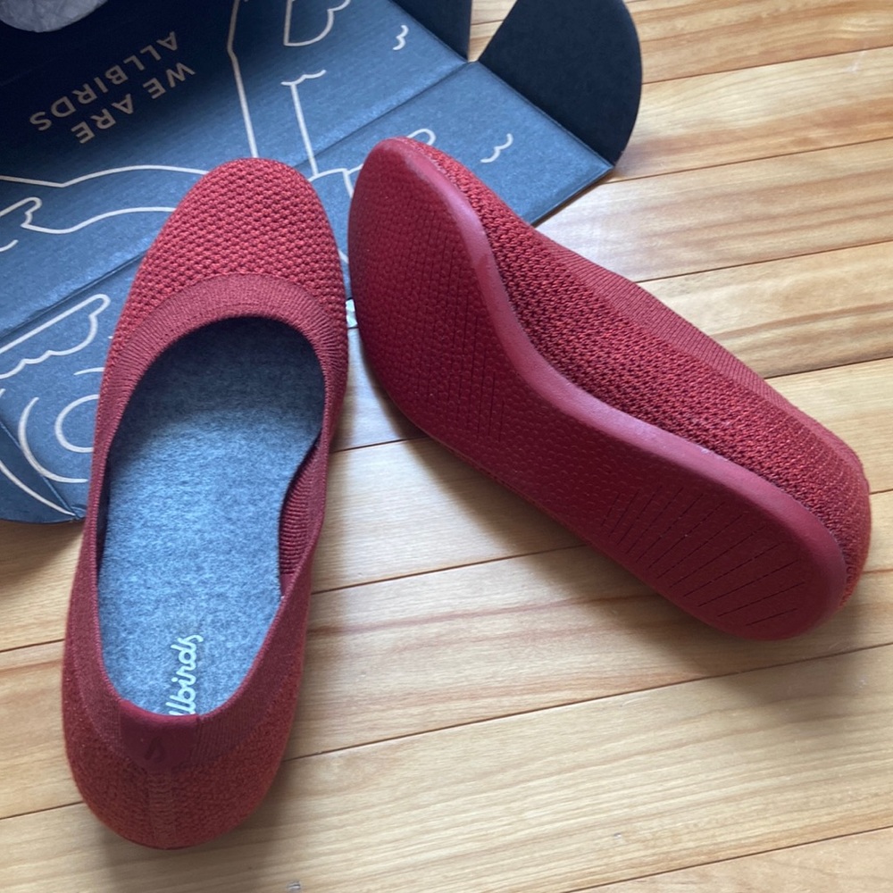 Womens Allbirds Tree Breezers